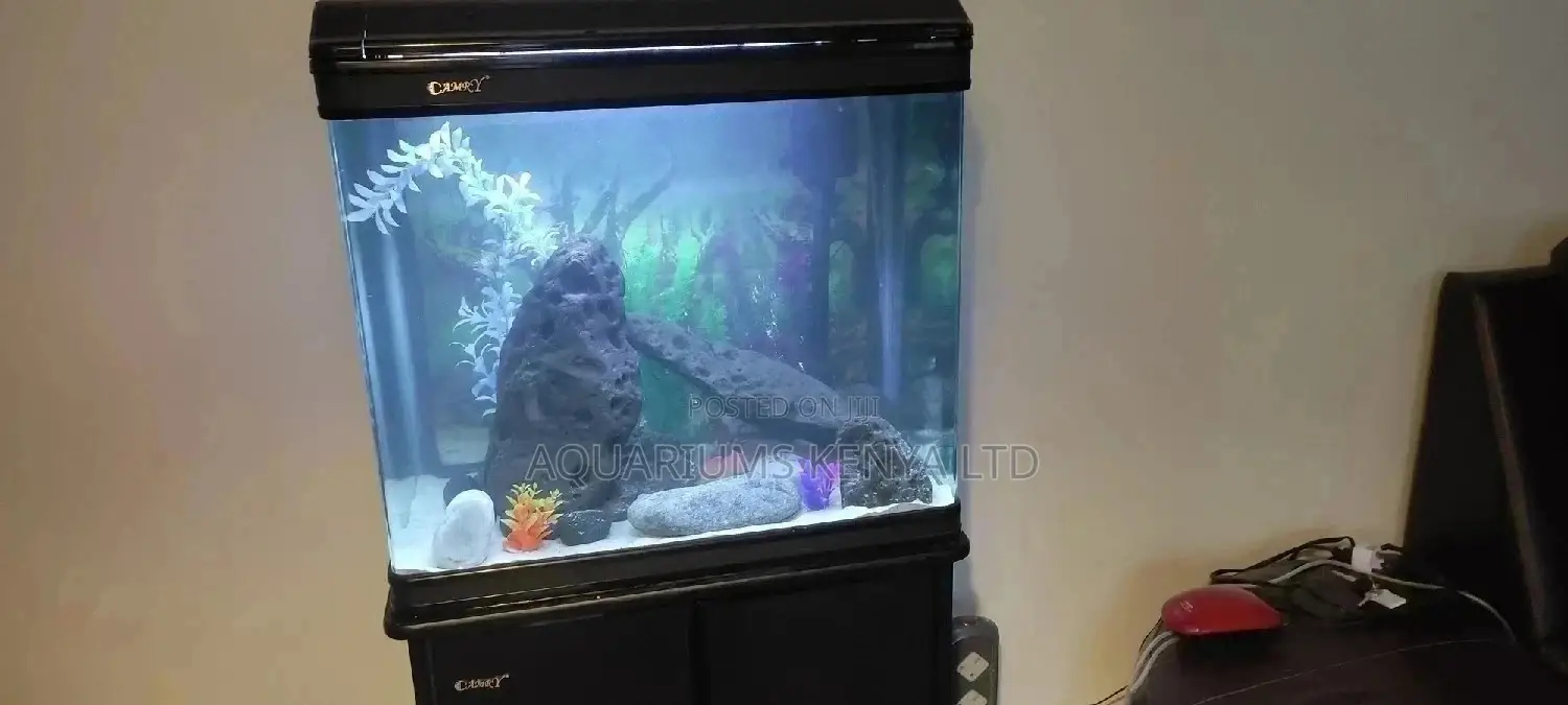 Rock Aquascapes, Make Your Imported Tanks Magnificent.