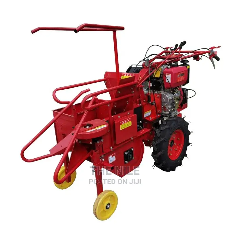Low Harvesting Price Mini Corn