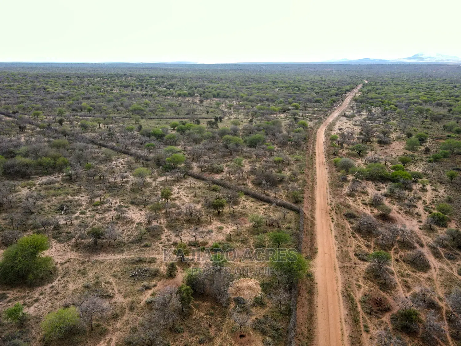Prime 20 Osilalei(Kajiado Central)