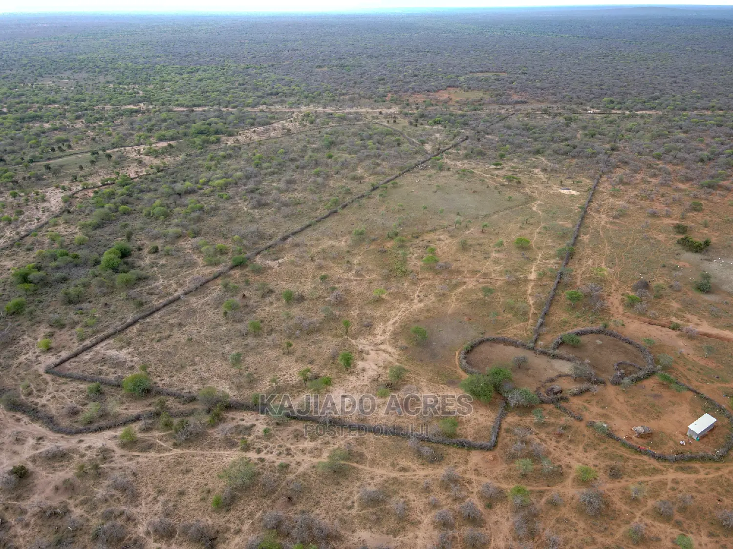 Prime 20 Osilalei(Kajiado Central)