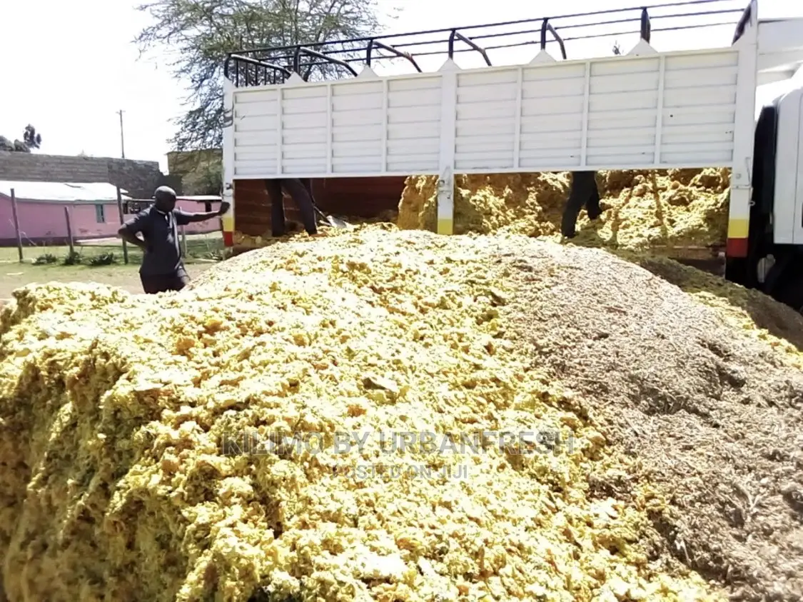 Feedlot / Fattening Silage 100kg Per Bale :Quoted 10T.