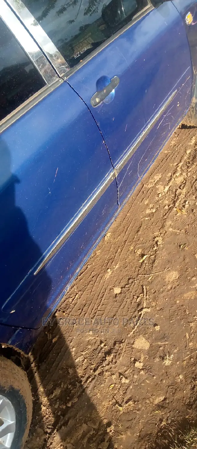 Car Body Guard Strip