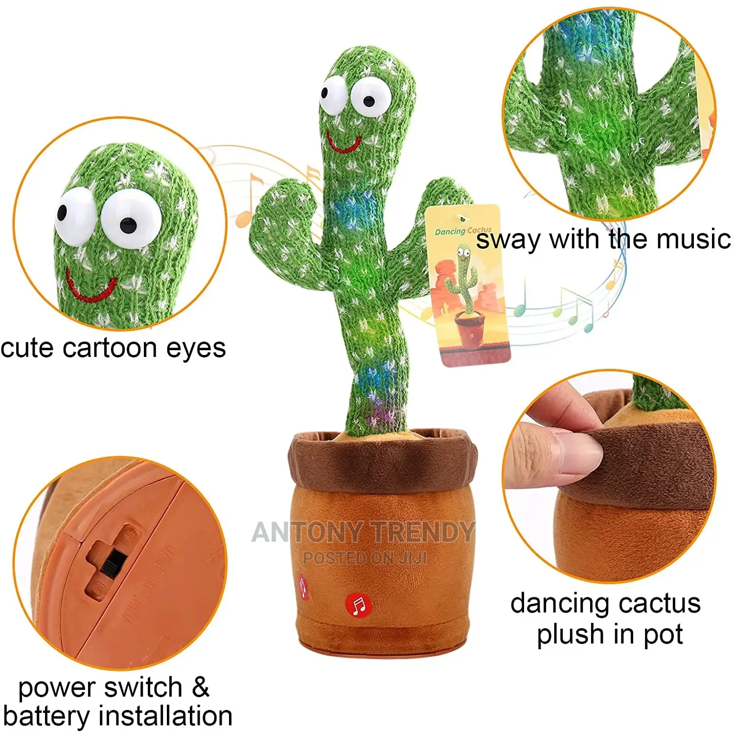 Green Dancing Cactus