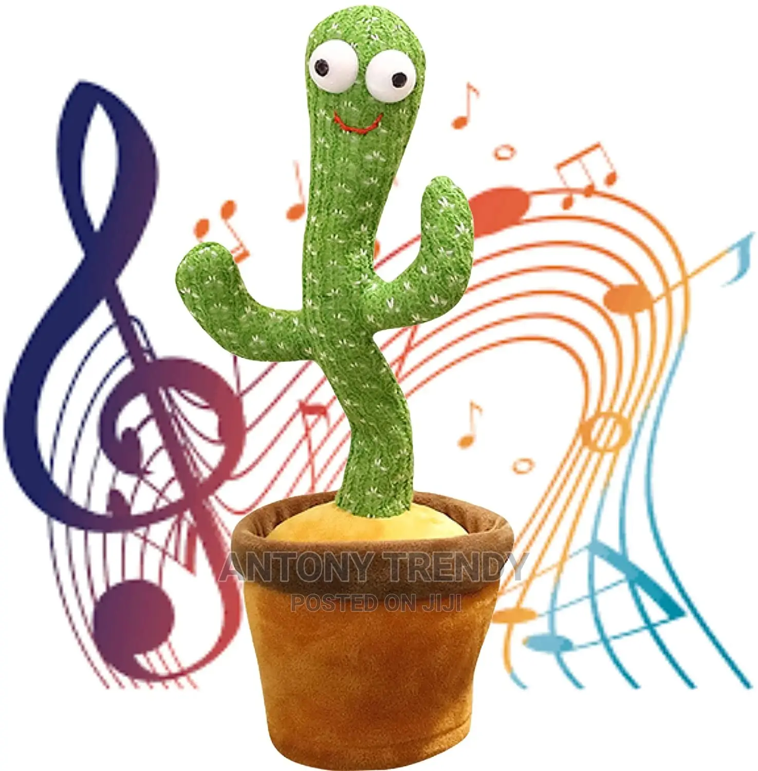 Cactus Toys That Repeats Your Words