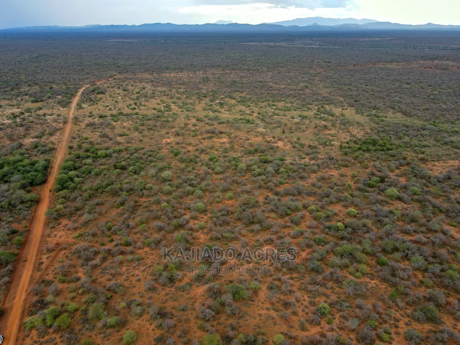 138 Acres Mailwa (Kajiado Central)At at 300k Per Acre