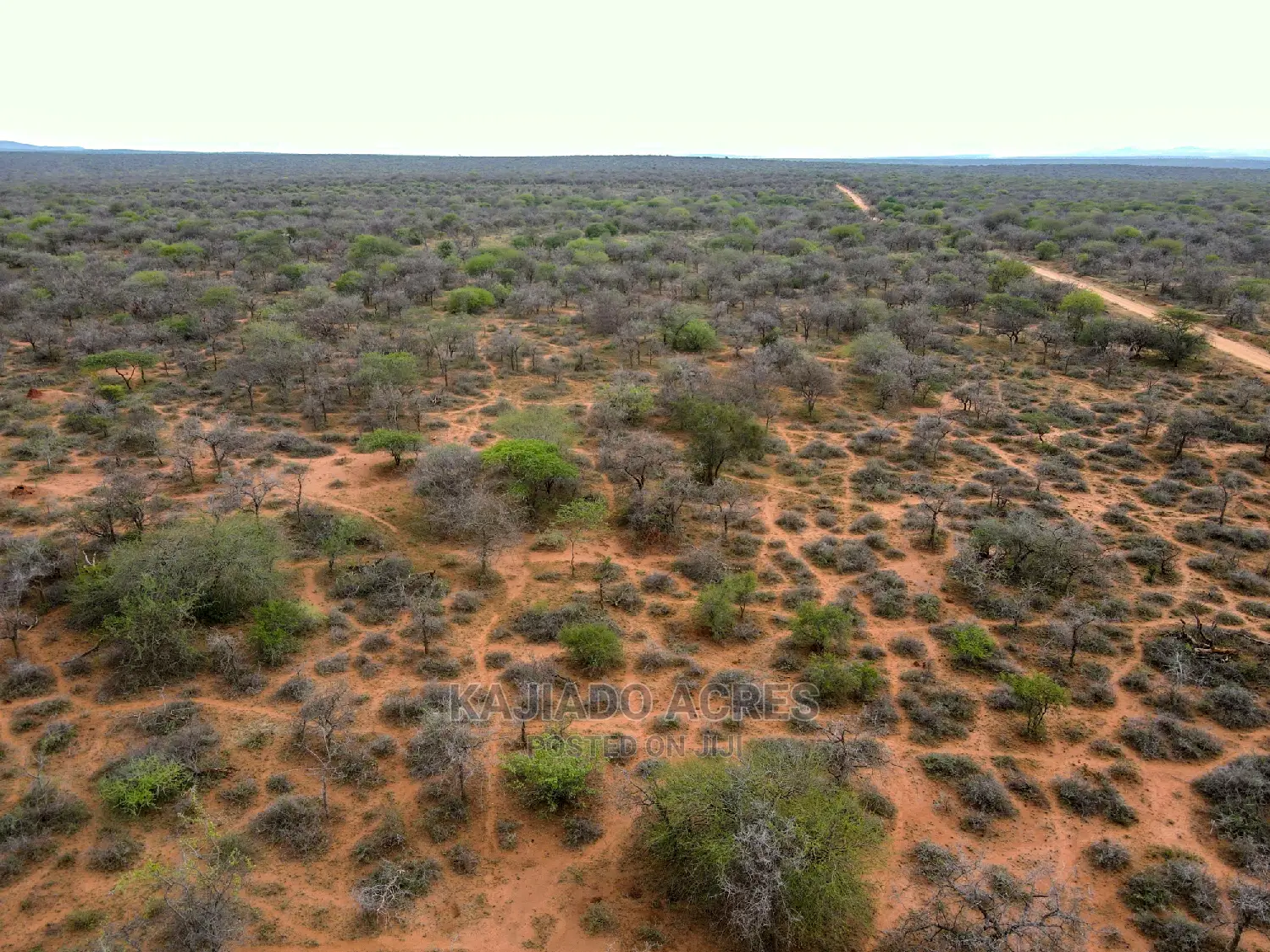 138 Acres Mailwa (Kajiado Central)At at 300k Per Acre