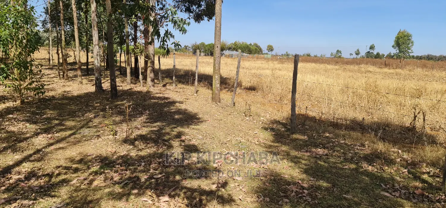 Prime 1 Acre for Sale in Sogomo Opposite Dl Farm in Eldoret