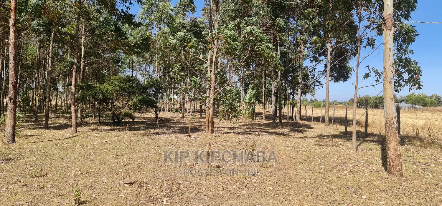 Prime 1 Acre for Sale in Sogomo Opposite Dl Farm in Eldoret