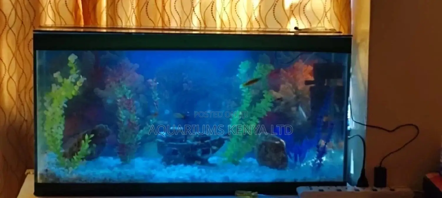 Creative Aquariums and Accessories