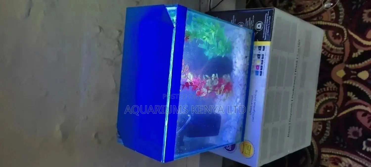 Desktop Aquariums,10L Aquarium