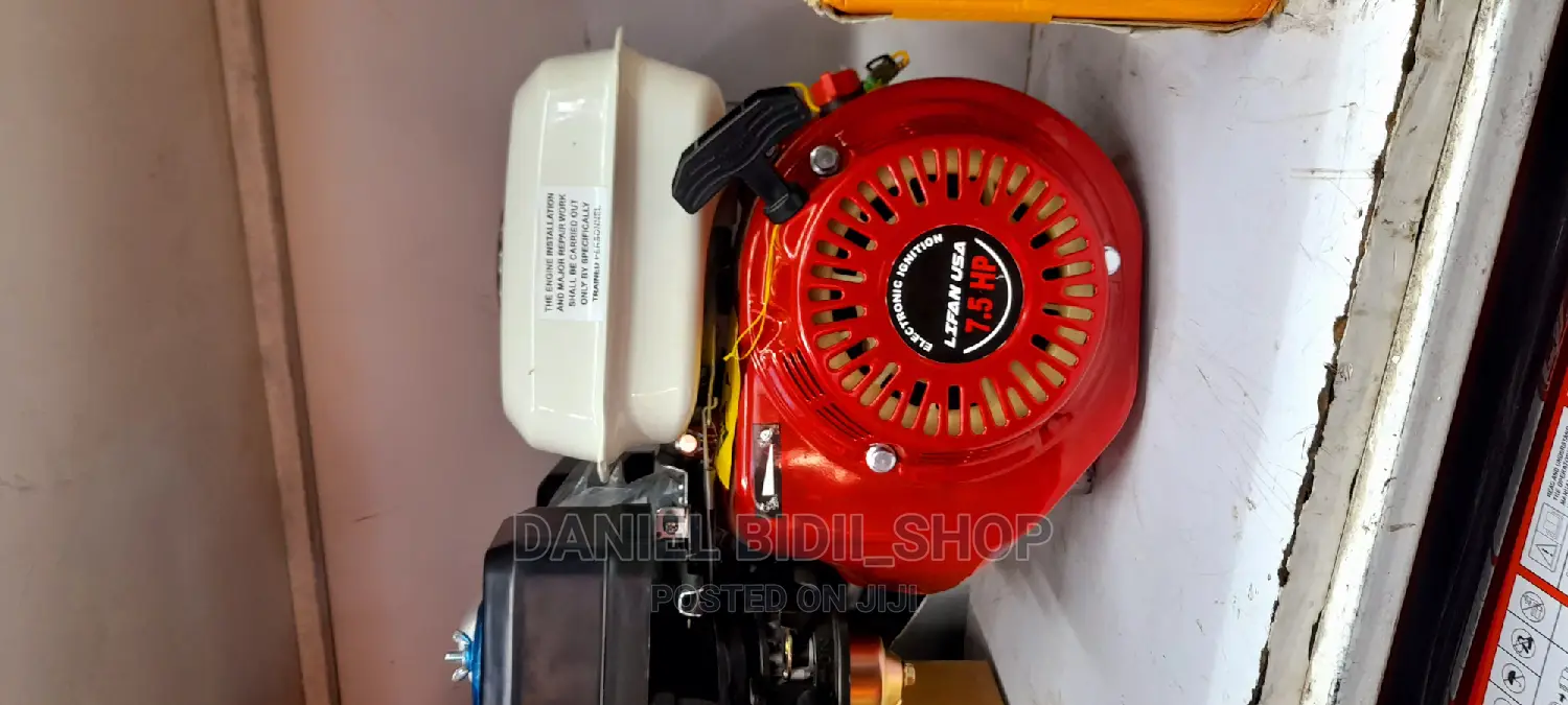 Lifan USA Petrol Engine 6.5hp