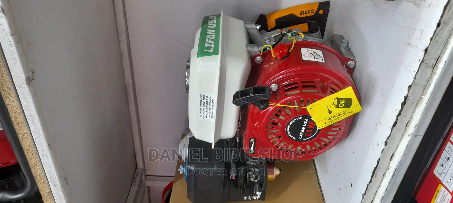 Lifan USA Petrol Engine 6.5hp