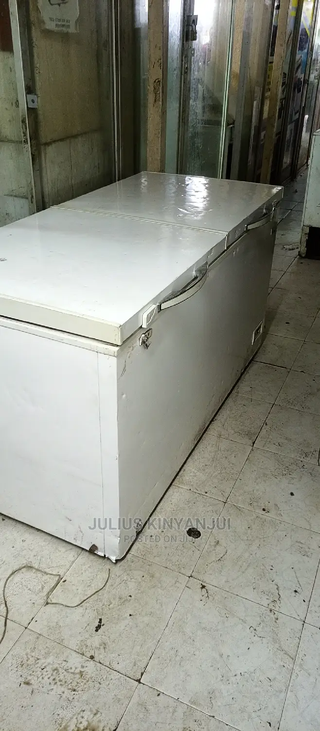 Double Door Freezer 600L