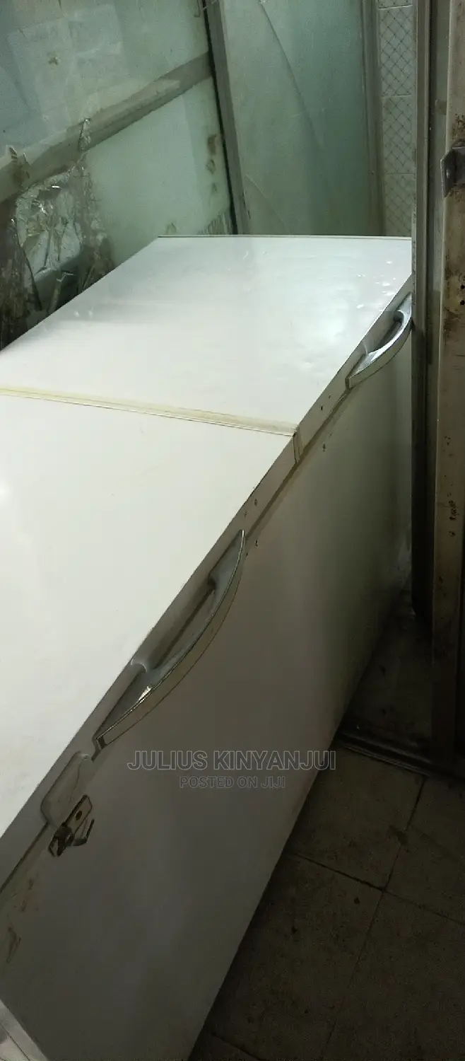 Double Door Freezer 600L