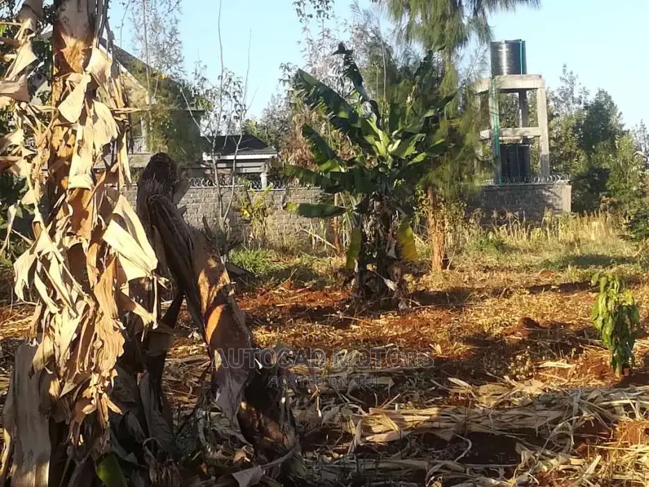 1/4 Acre In Mugumo