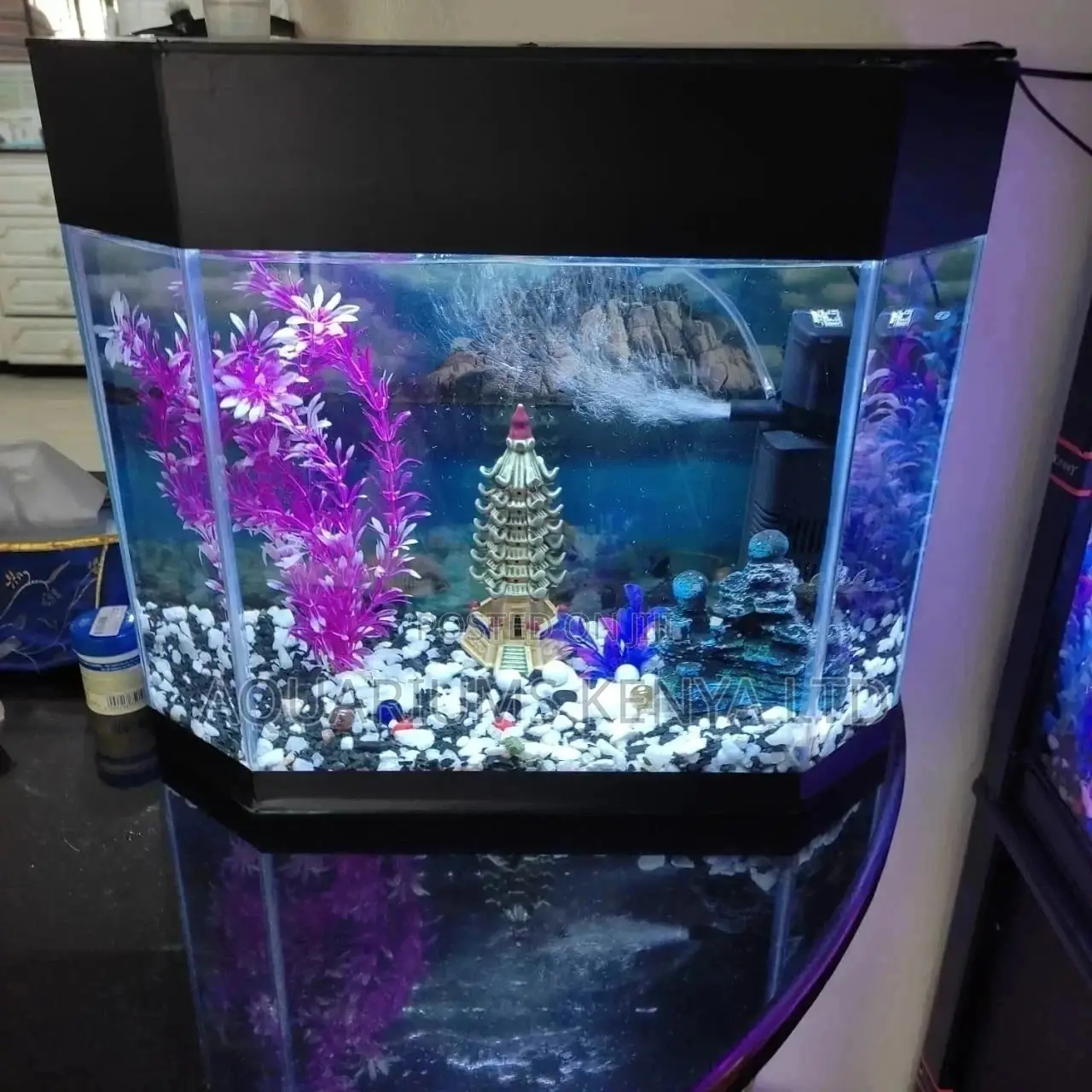 Classy Fish Pet Aquarium