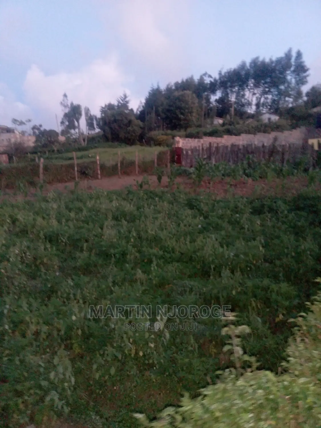 100 by 100 Kinungi, 200 MTRS From Highway