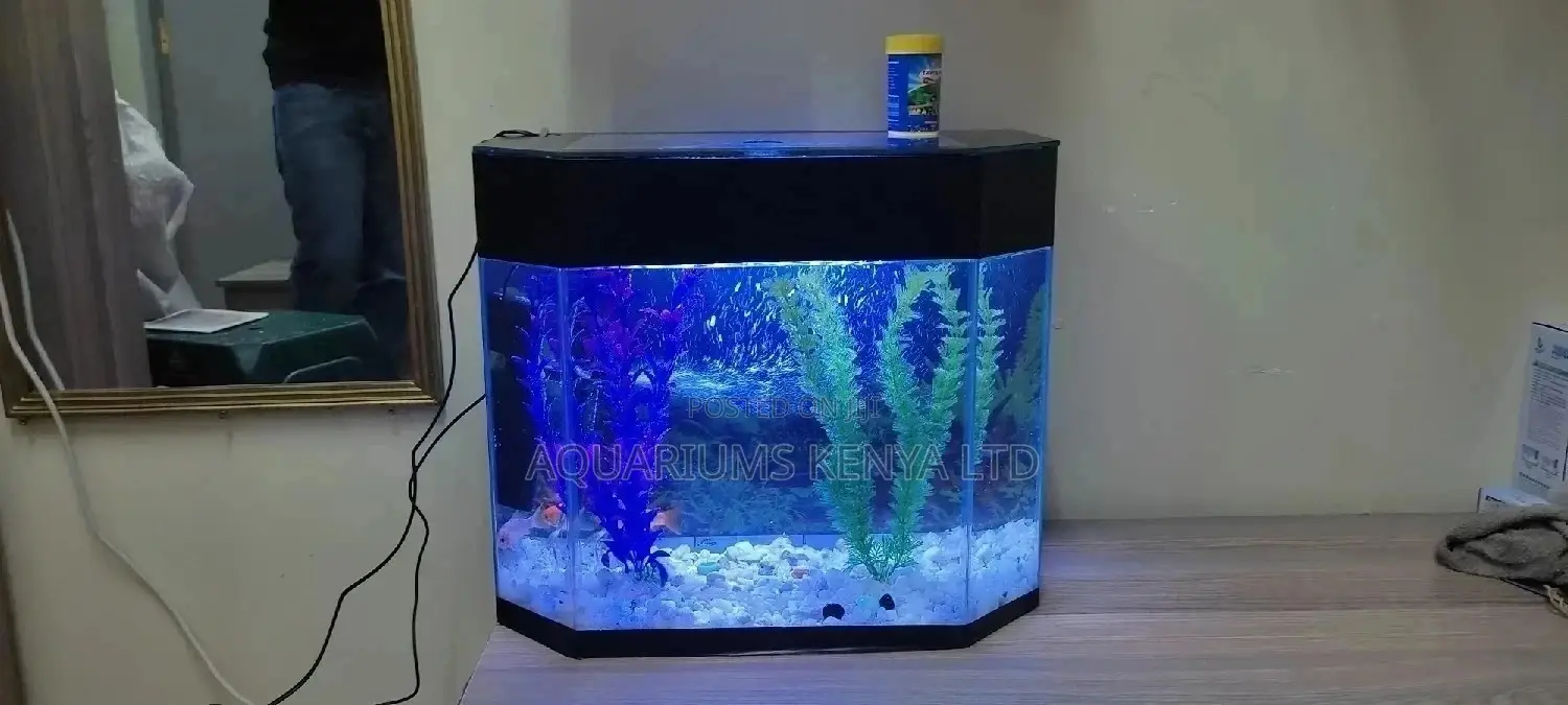 Complete 25litres Aquarium