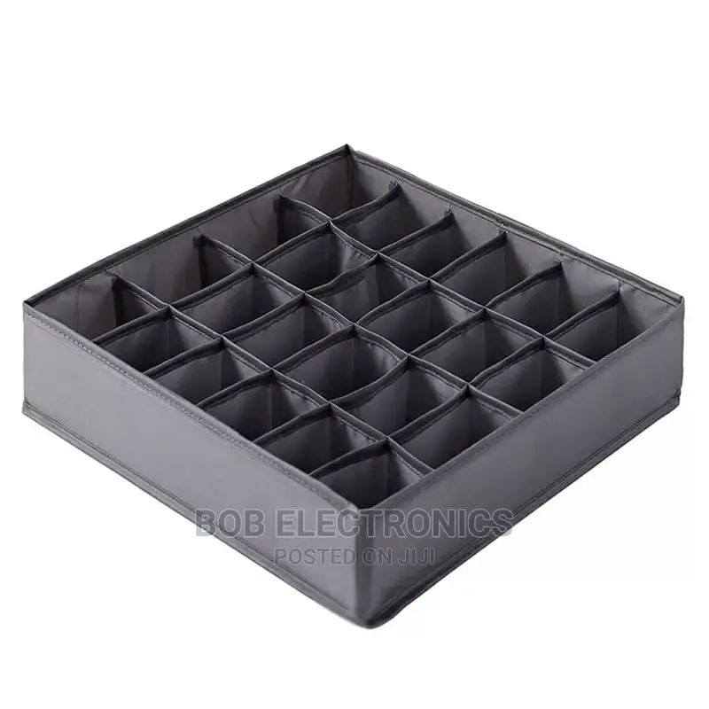 3 in 1 Undergarments Organizer