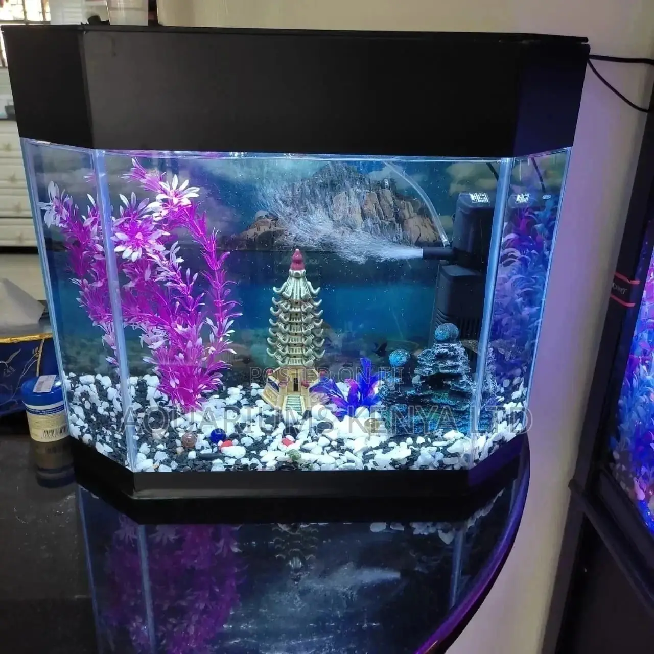Quarantine Aquarium