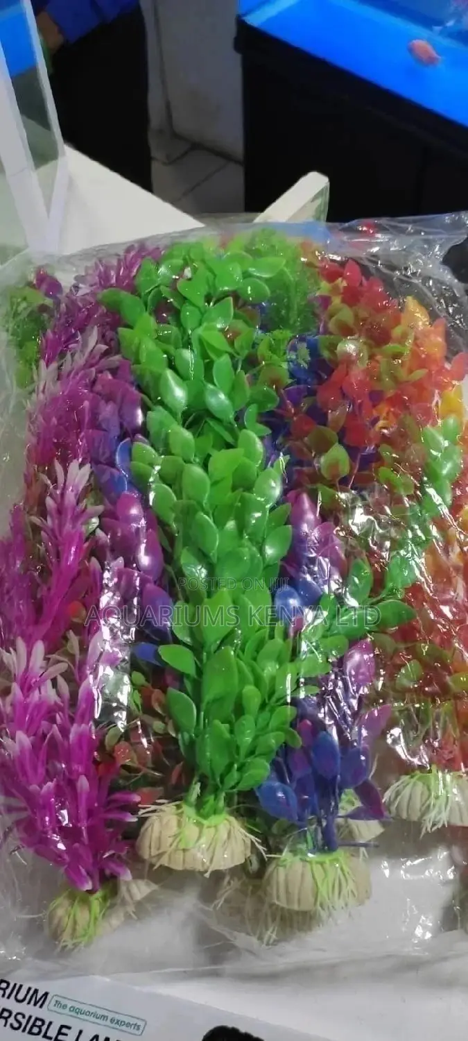 Beautiful Aquarium Plants