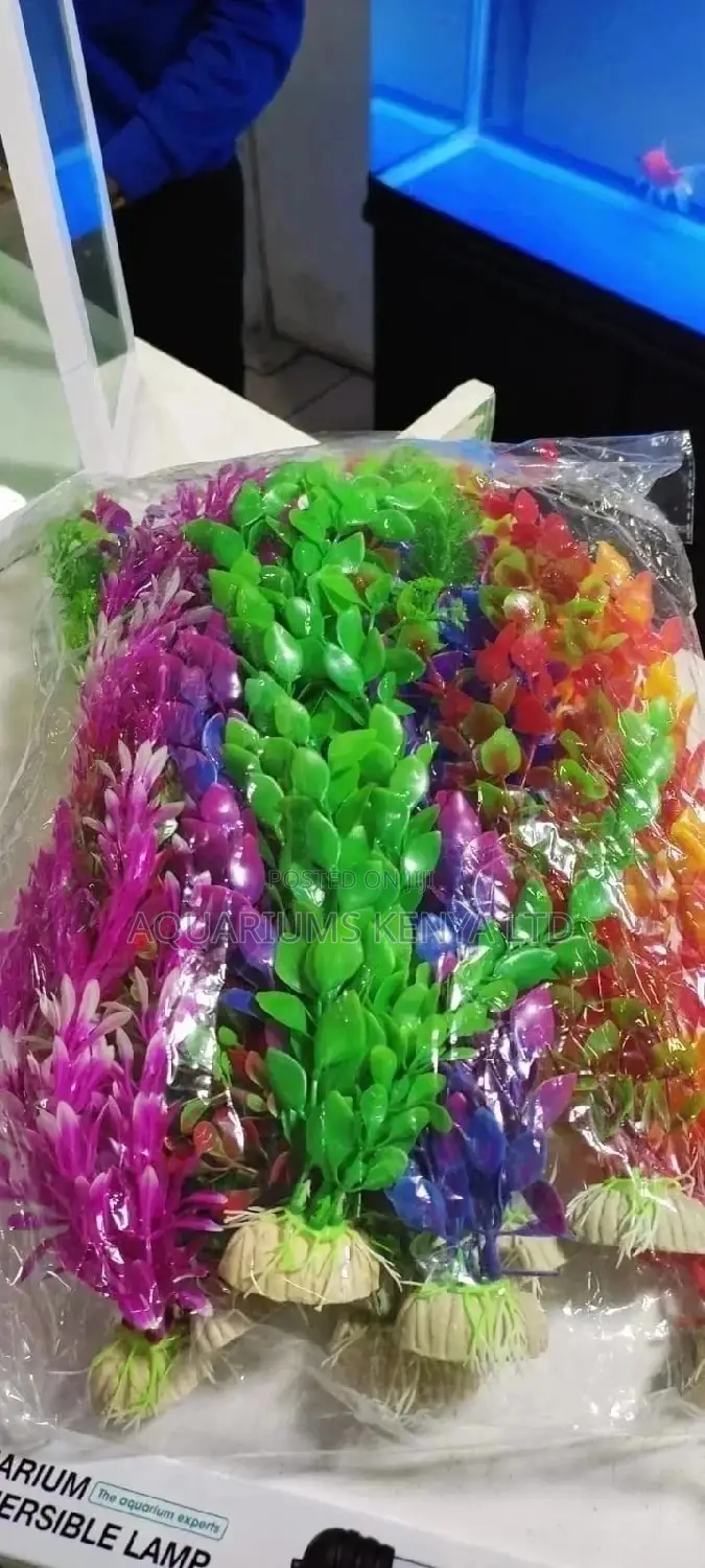Amazing Aquarium Plants