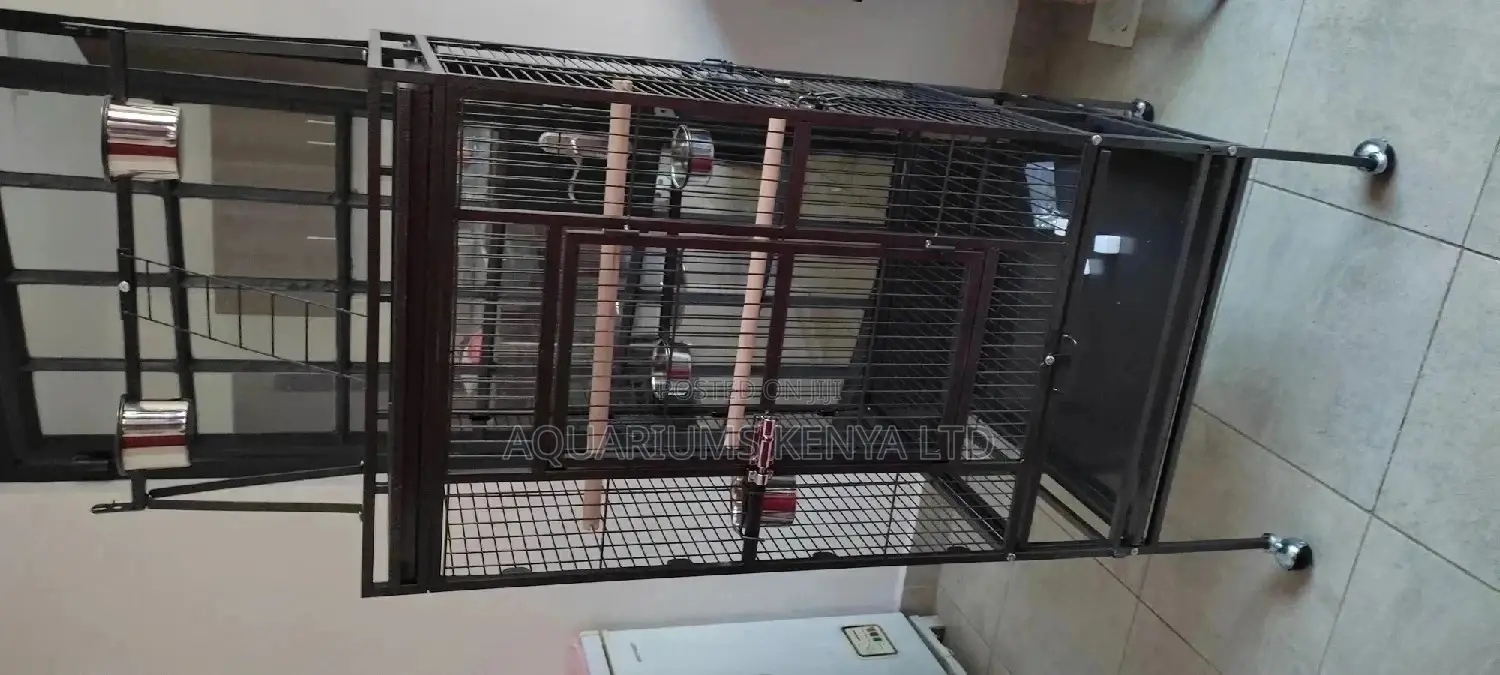 Imported Bird Cage,Easy to Maintain Bird Cage