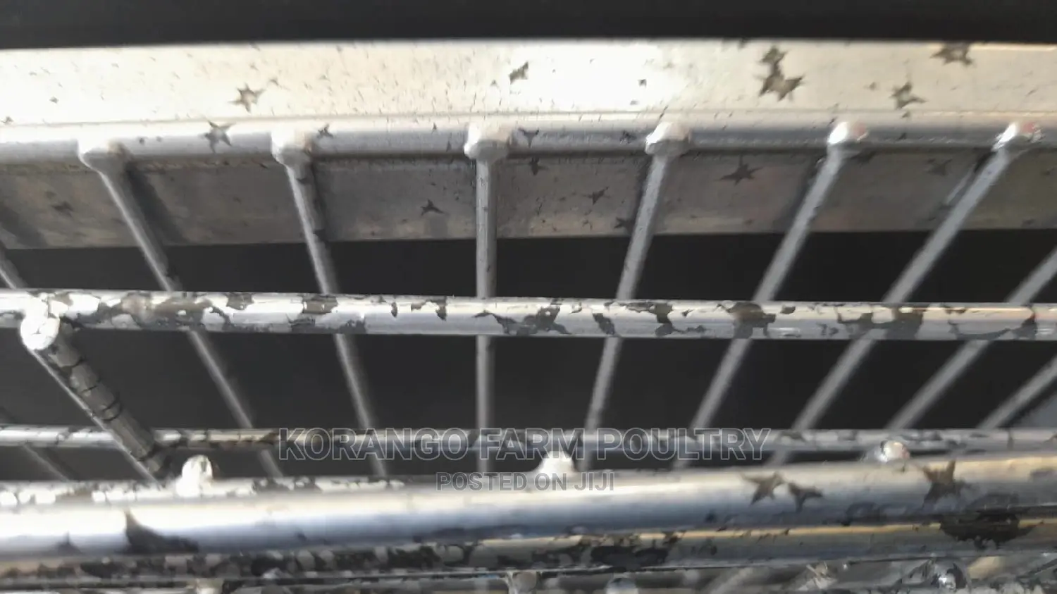 Divided Large Dog Cage