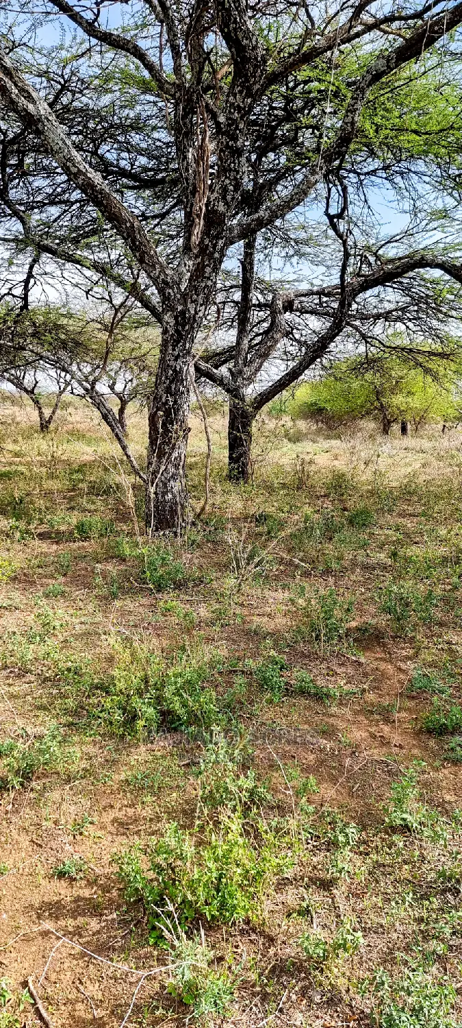 Prime 5 Acres Soitamurt, Najlile at 400kper Acre