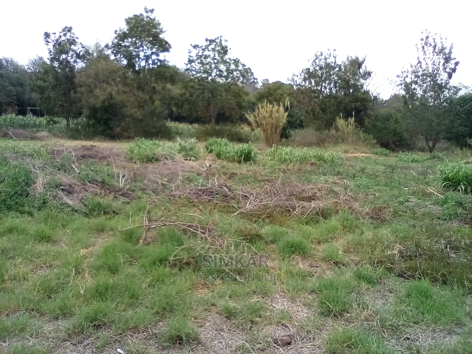 1-Acre Plots for Sale in Kiserian