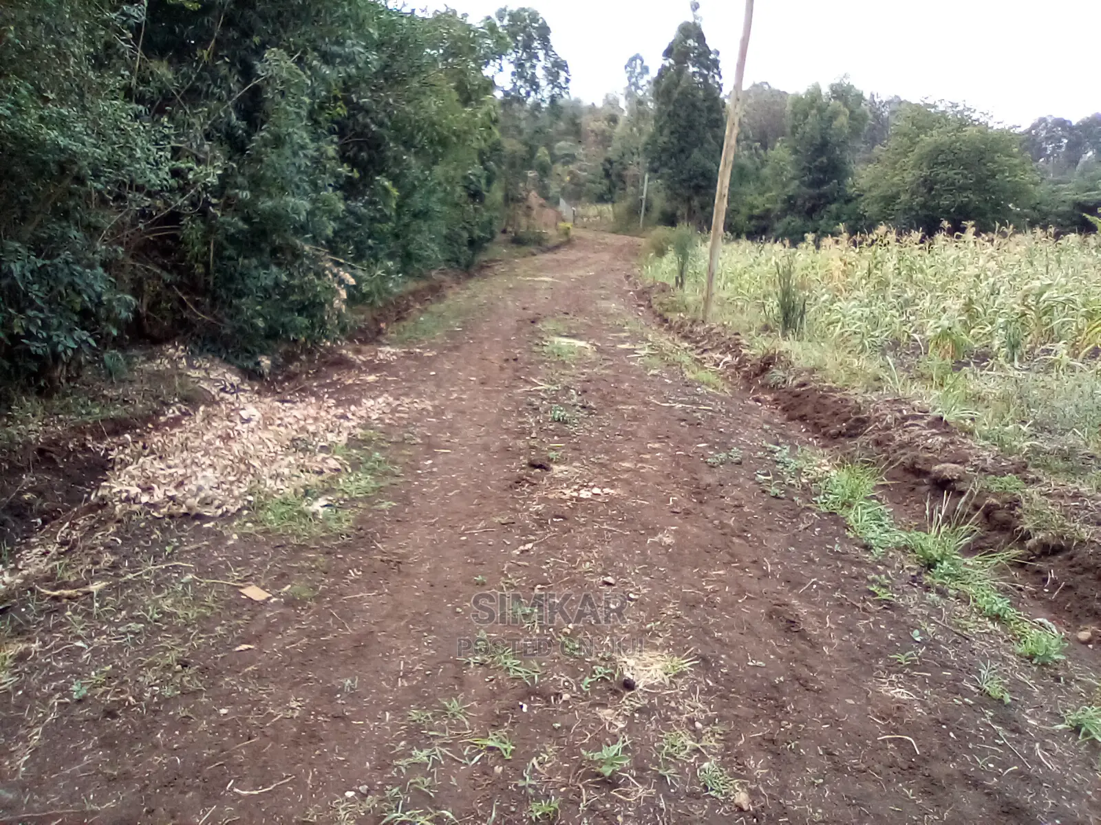 1-Acre Plots for Sale in Kiserian