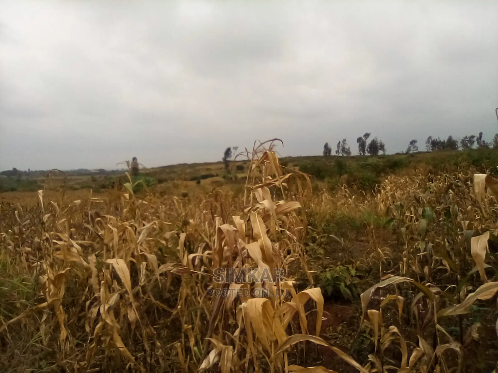 Blocks of Land for Sale in Ruiru