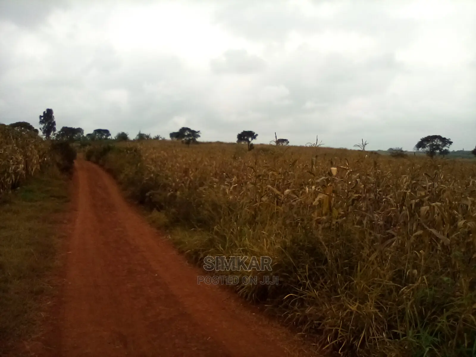 Blocks of Land for Sale in Ruiru
