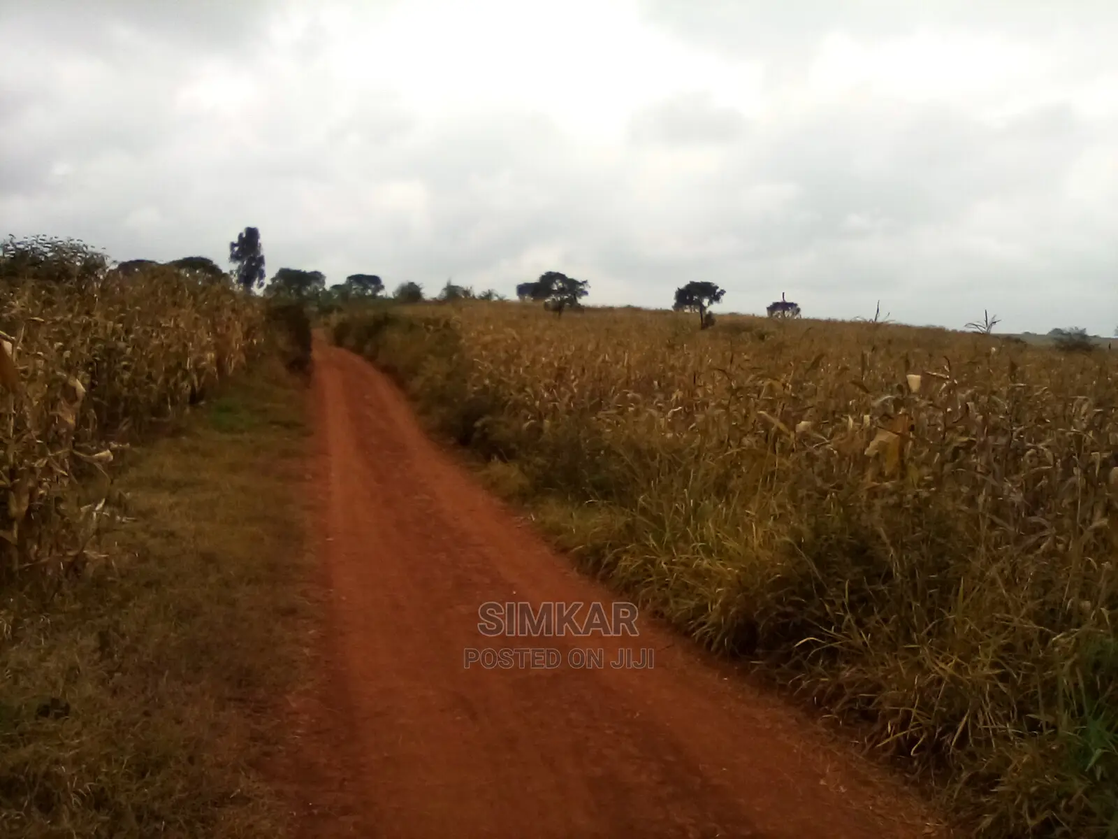 Blocks of Land for Sale in Ruiru