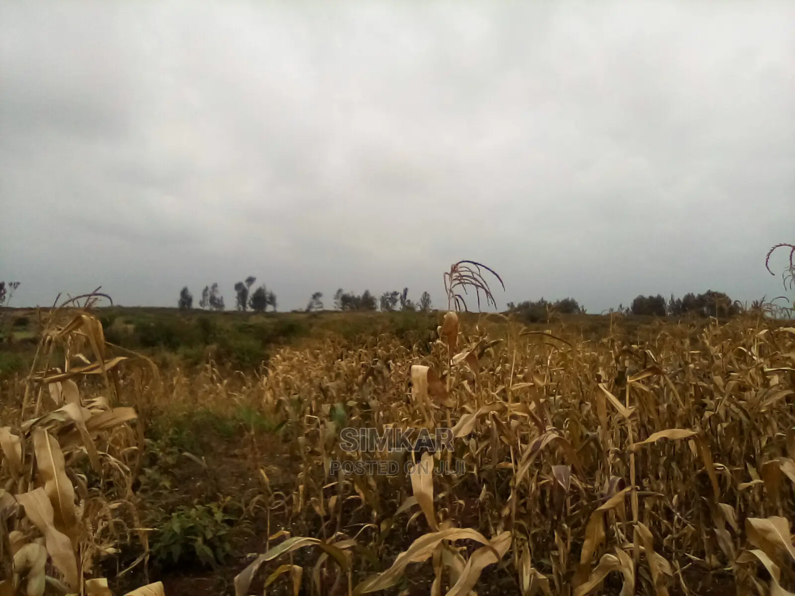 Blocks of Land for Sale in Ruiru