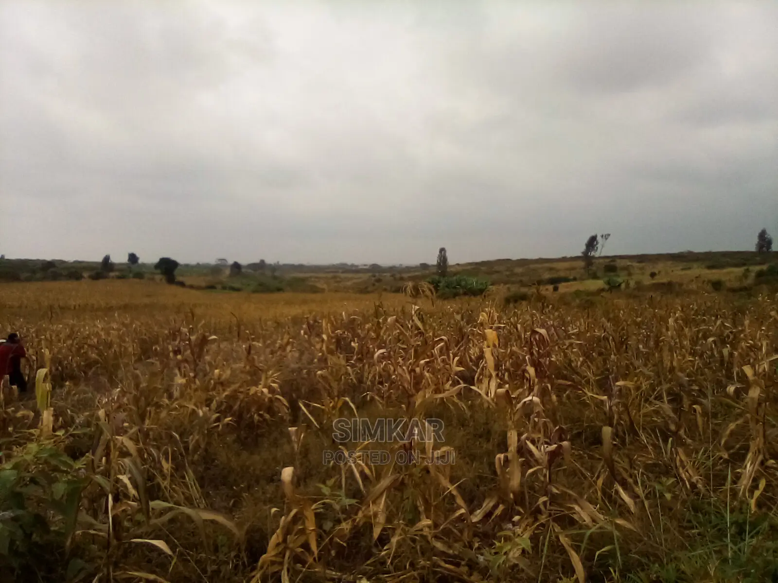 Blocks of Land for Sale in Ruiru