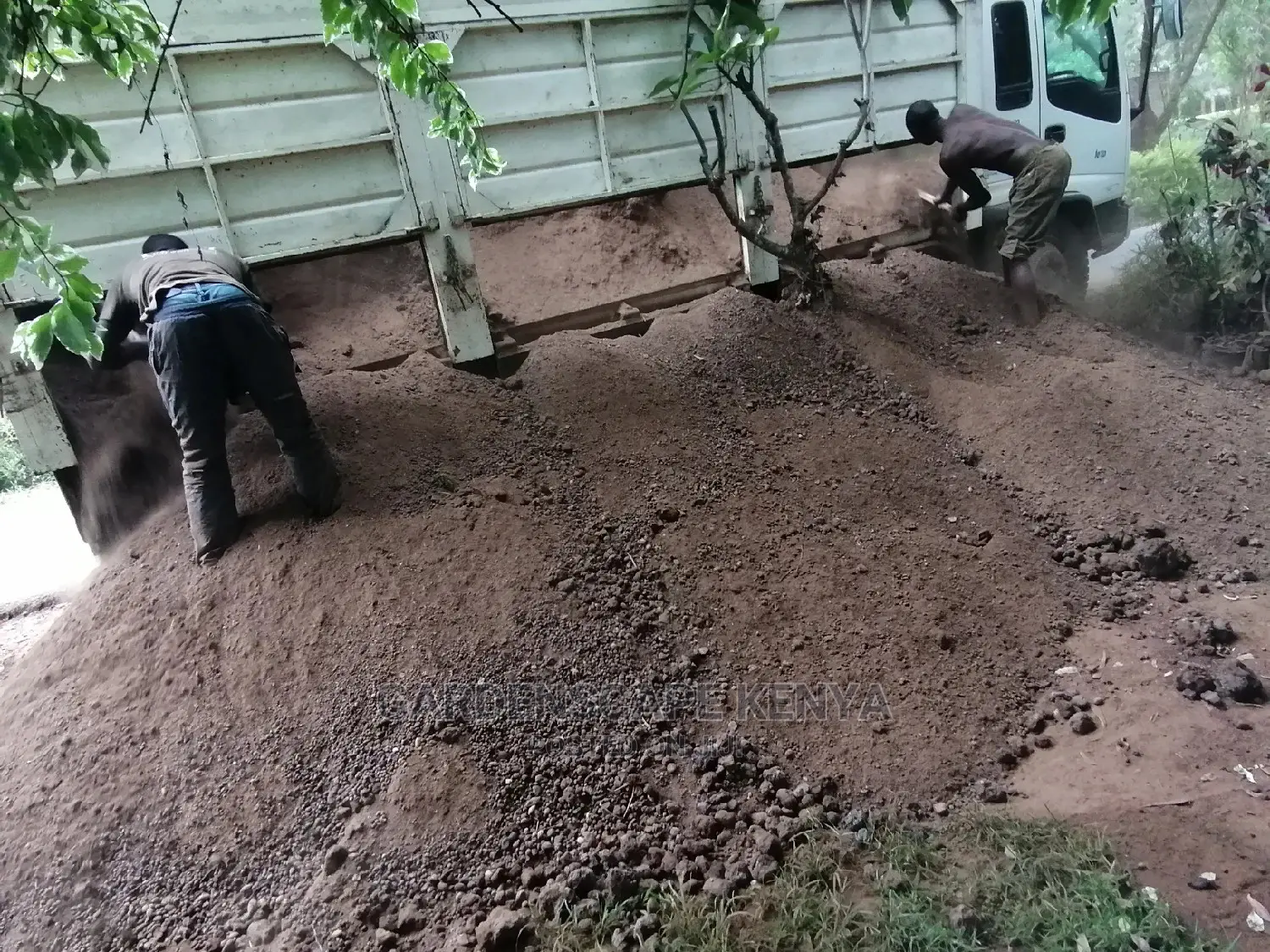 Manure(Fsr Lorry)