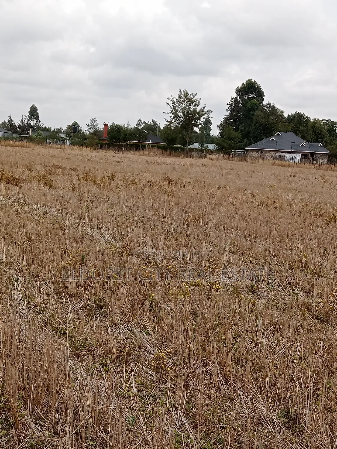 1/4 Plots Chepkanga for Residential
