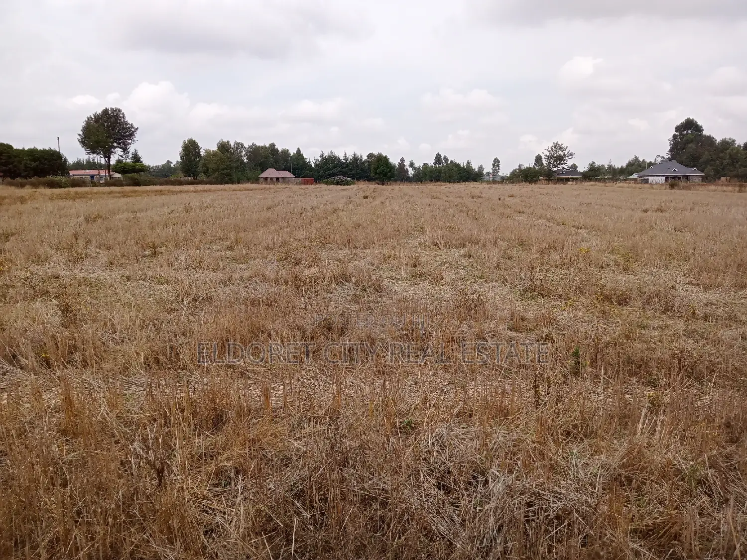 1/4 Plots Chepkanga for Residential