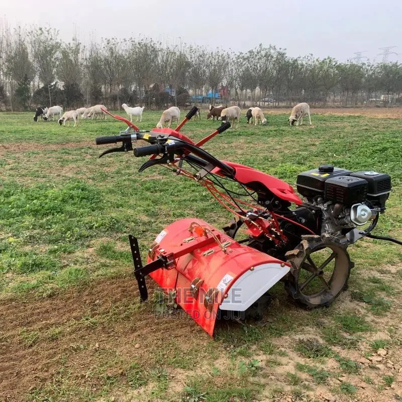 Picture of Micro Tiller in the Field