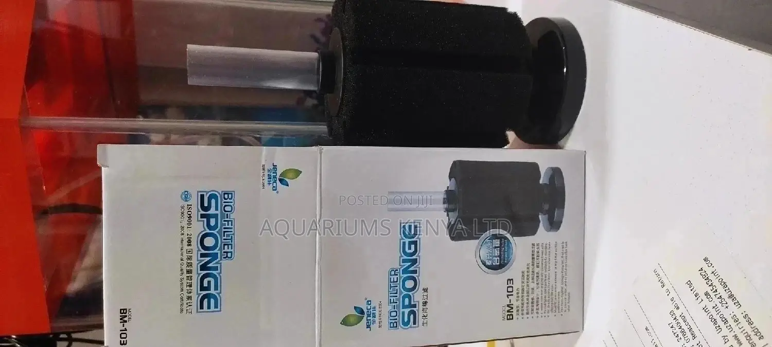 Sponge Filters Sizeable