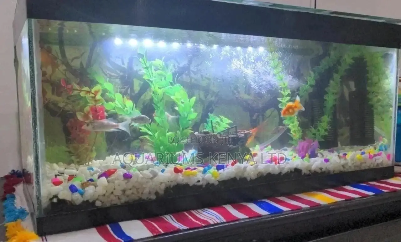 Black Braced Aquarium Complete
