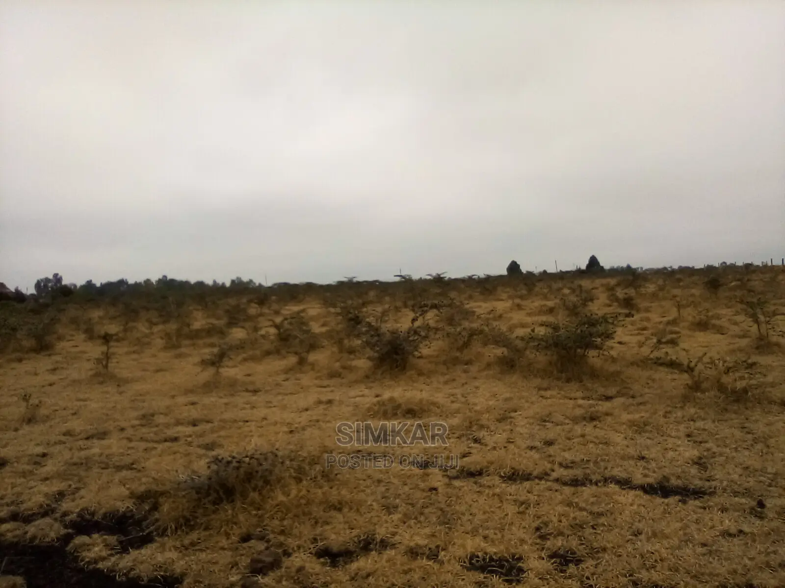 5-Acres of Land for Sale in Olooloitikosh/Sholinke/Oloosirik