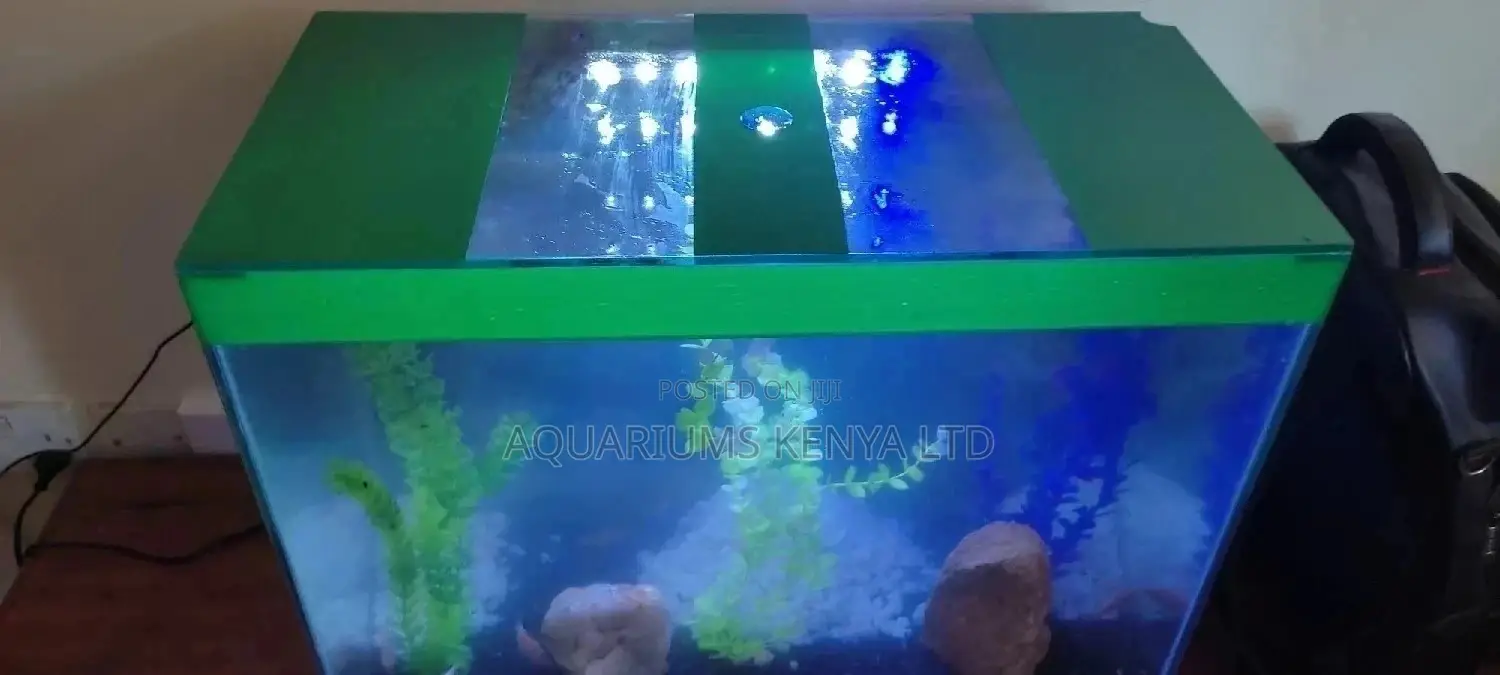 Stripped Aquarium Top, Custom Aquarium Fish Tank, Petfish