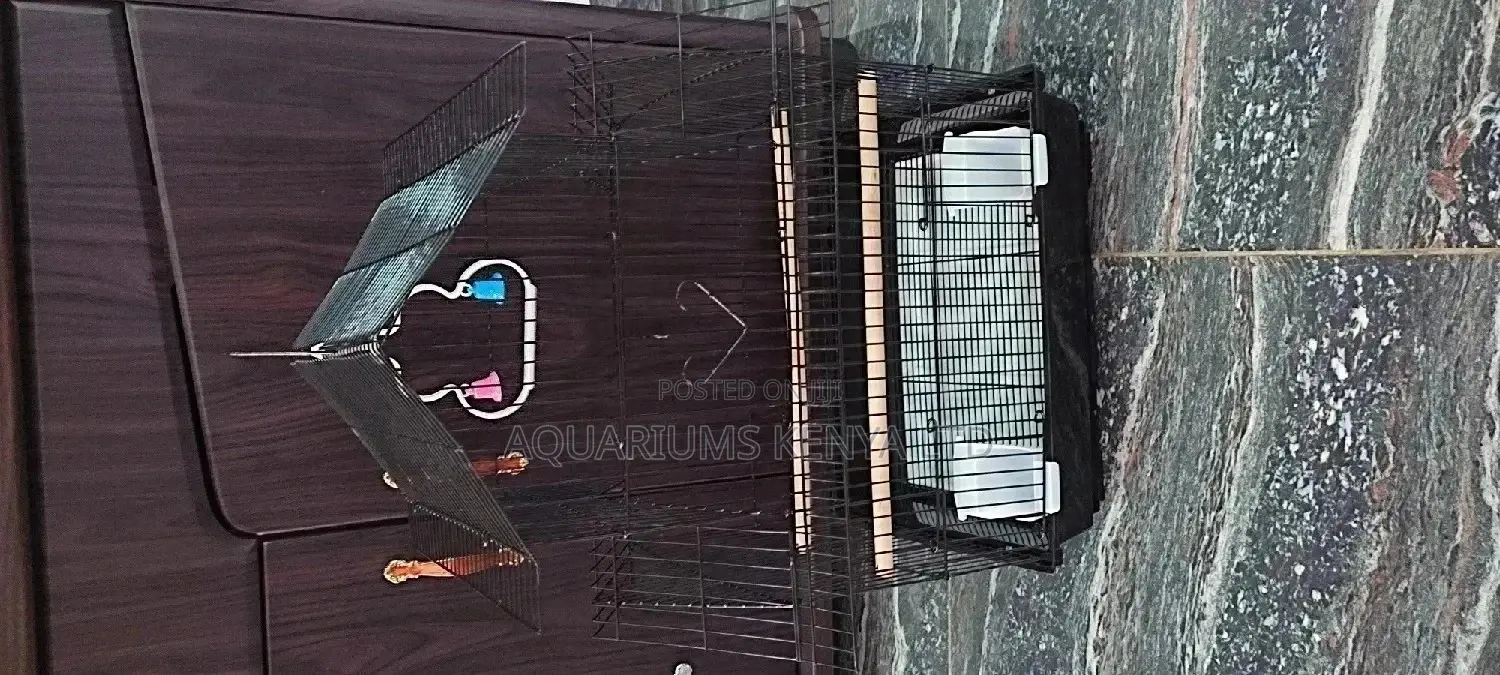Imported Bird Cage