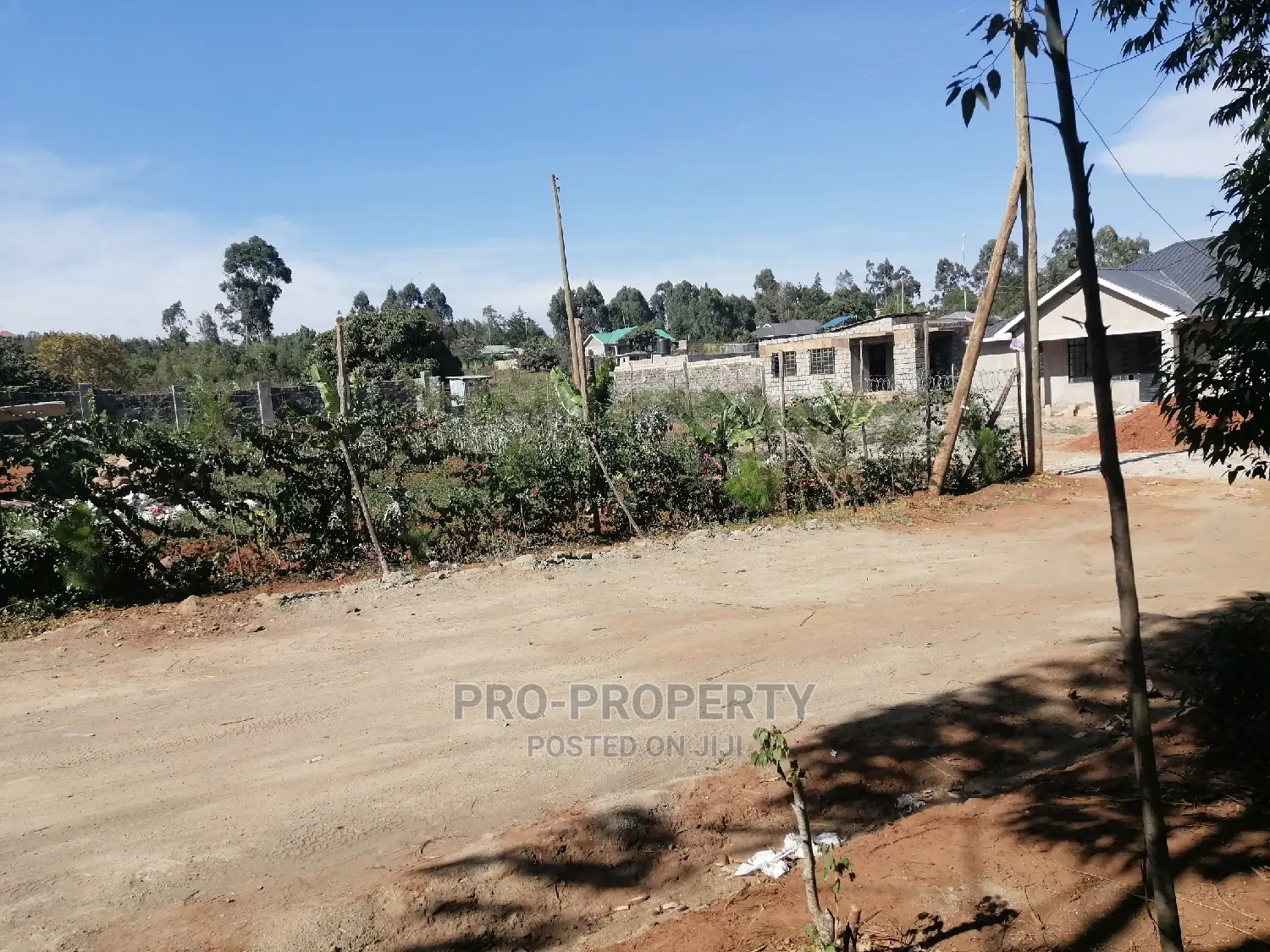 Prime 50x100ft for Sale in Kikuyu, Kamangu.