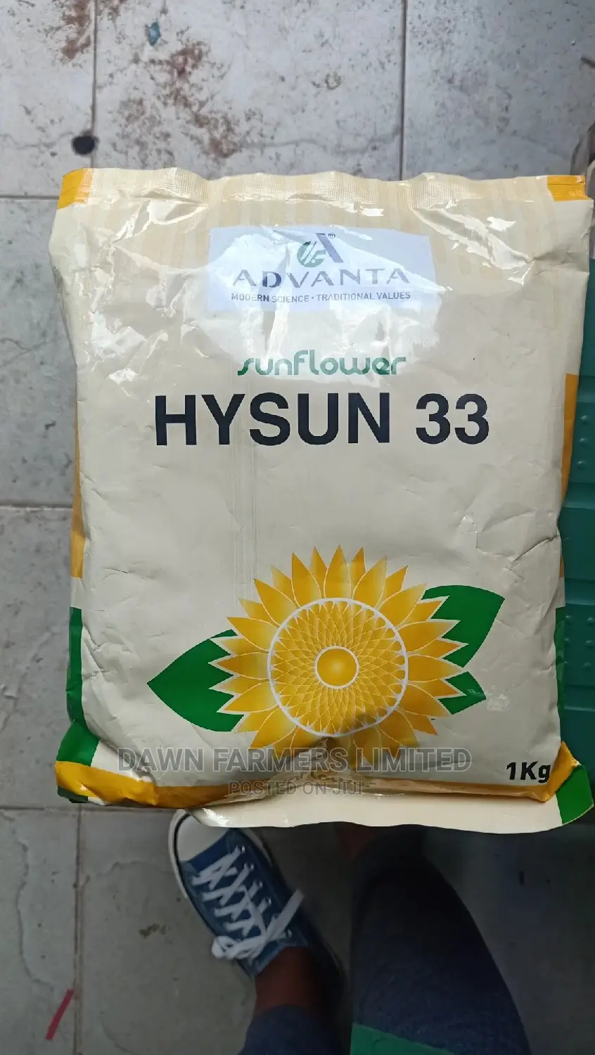 Sunflower 1kg