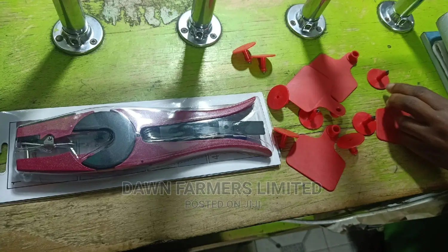 Ear Tags And Applicator
