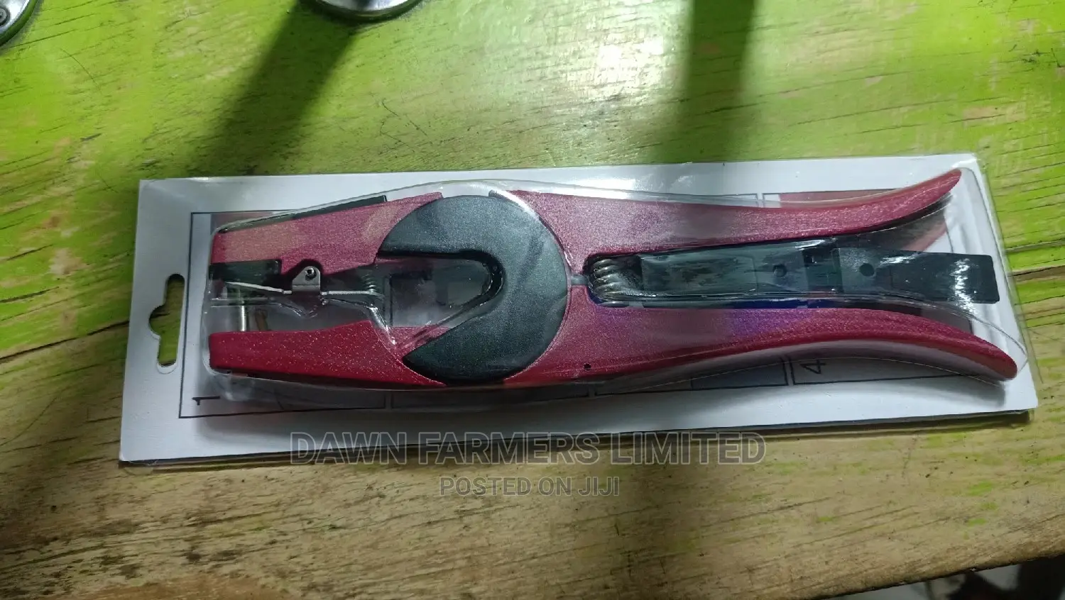 Ear Tags And Applicator