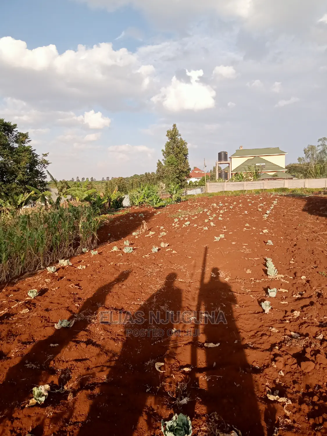 Kiambu Road 1/2acre : Green Valley Estate Price 18M , Title